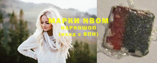 соль ск Надым