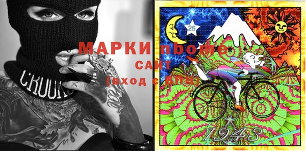 соль ск Надым