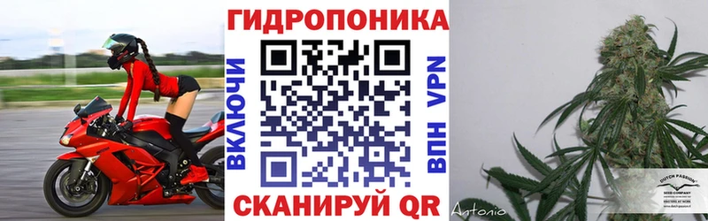 Каннабис THC 21%  Циолковский 